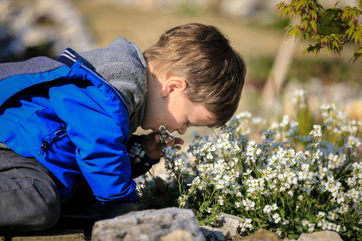 how-to-plan-a-sensory-garden-that-your-child-will-love-source-kids