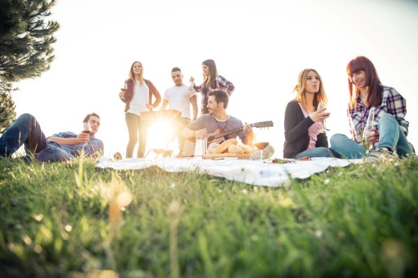 Group of friends having pic-nic in a park on a sunny day - People hanging out, having fun while grilling and relaxing